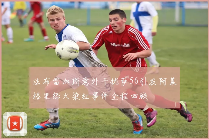法布雷加斯意外干扰萨56引发阿莱格里怒火染红事件全程回顾