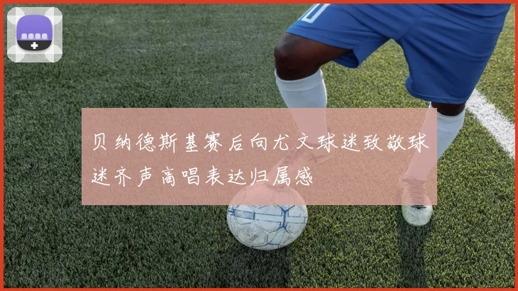 贝纳德斯基赛后向尤文球迷致敬球迷齐声高唱表达归属感