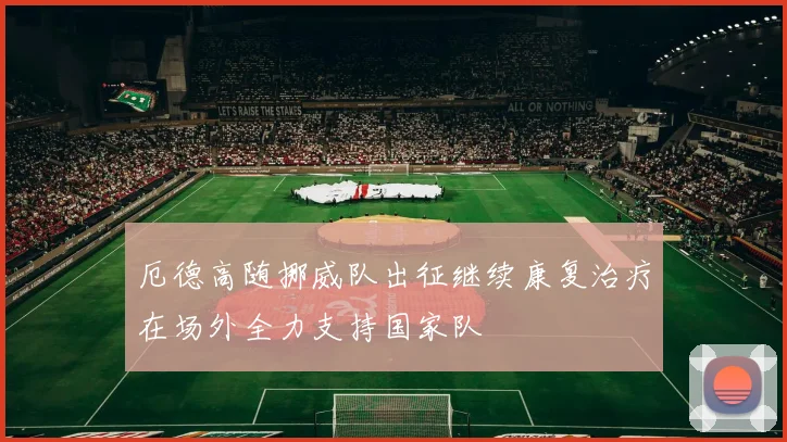 厄德高随挪威队出征继续康复治疗在场外全力支持国家队